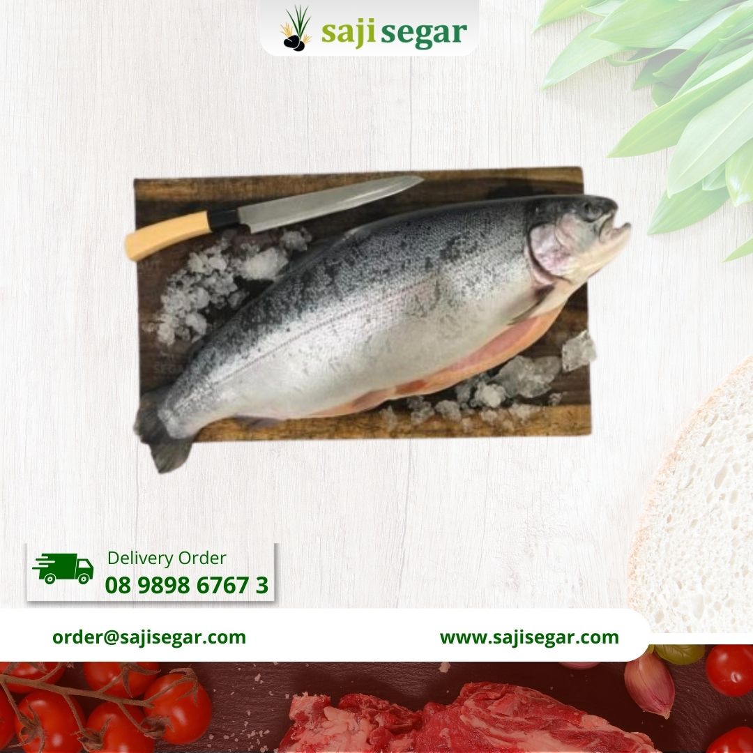 Salmon Whole Atlantik Ekoran Segar - Salmon Atlantik Fresh